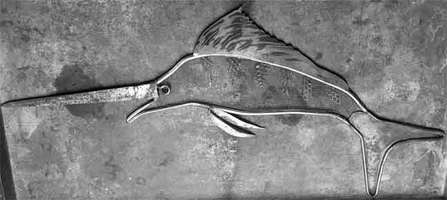 Sail Fish