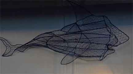 Wire Shark