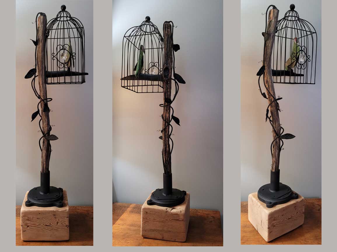 Bird Cage